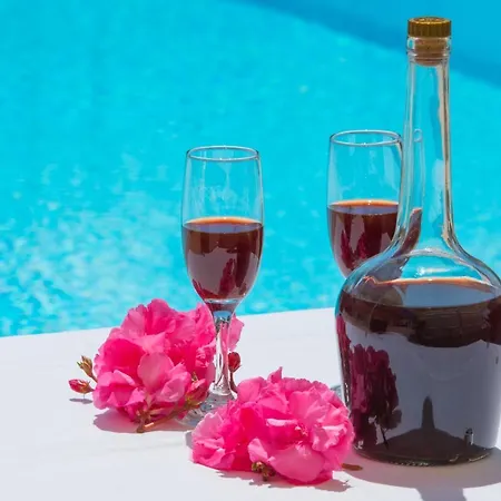 Xenia 3* Βασιλική