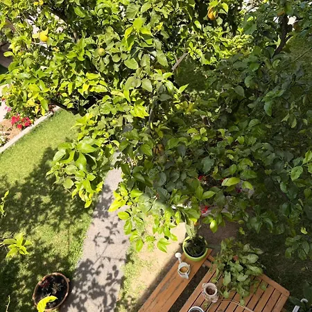 Hotel de apartamente Xenia Vasiliki